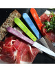 OPINEL box of 4 paring knives n°112 - 2 colors
