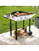 Roller Grill Gas Plancha Collection PL 600G